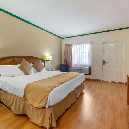 Comfort Inn Monclova Bagian luar foto